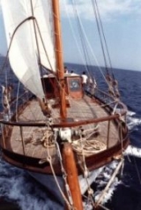  Renta de embarcaciones 