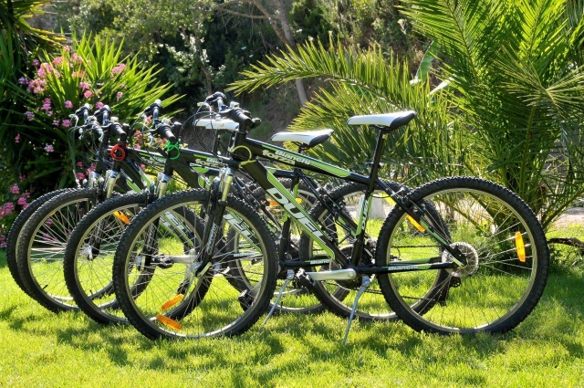  Nuestras bicicletas 