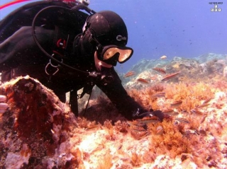 Escuela de buceo en Perugia Escuela de buceo en Perugia