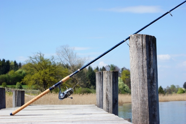  pesca 