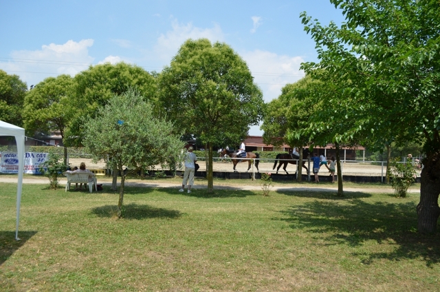  Escuela de equitación 