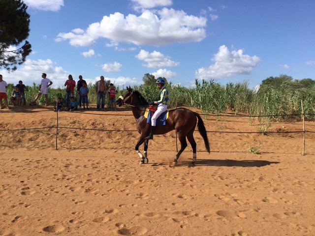  Jinele a caballo 