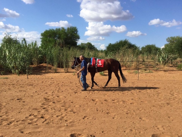  Caminando con el caballo 