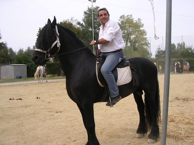  En silla de subir 