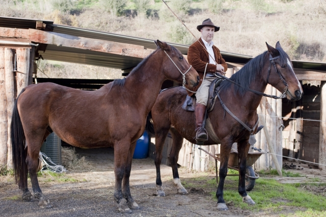  Hoy a caballo 