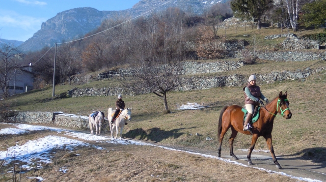  Paseo 