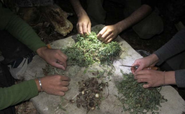  Preparación de comida 