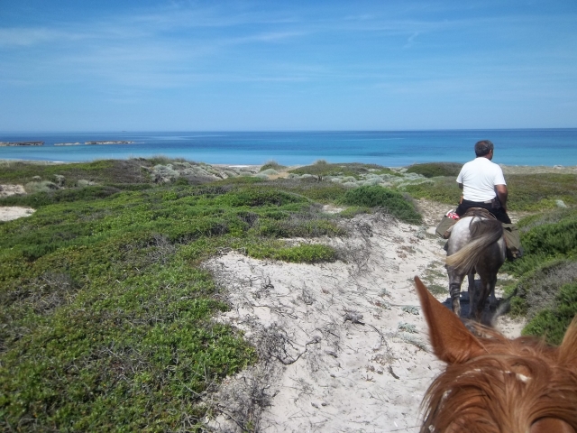  Paseo a caballo en Cerdeña 
