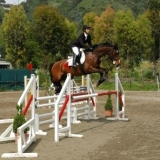  Pbaños a caballo en Palinuro 