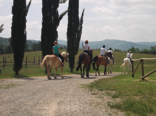  caminata