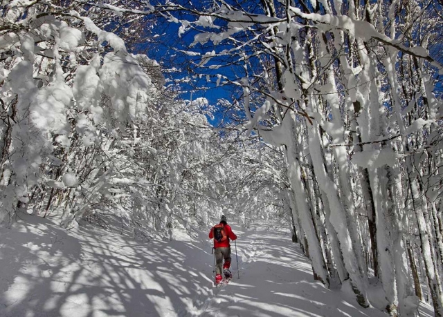  con raquetas de nieve 