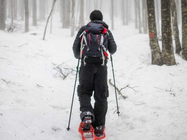  en raquetas de nieve