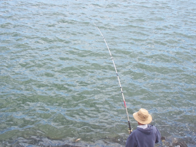  Pesca 