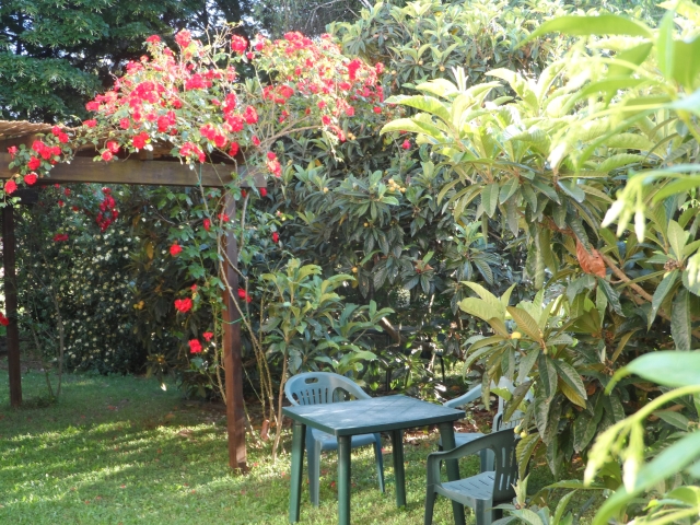  Jardín 