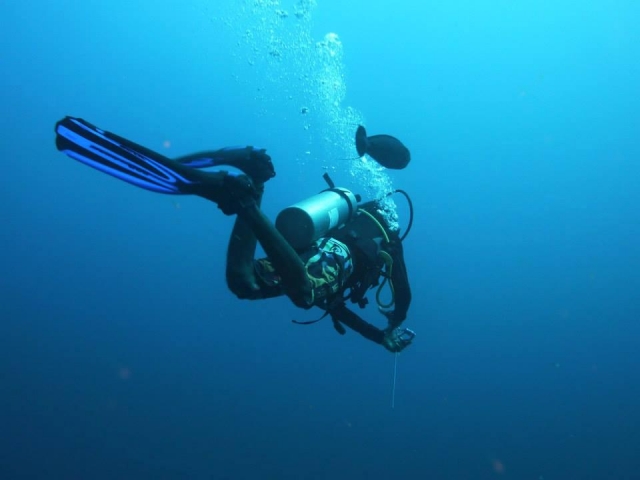  en el azul profundo 