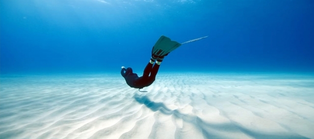  tocando el fondo marino 