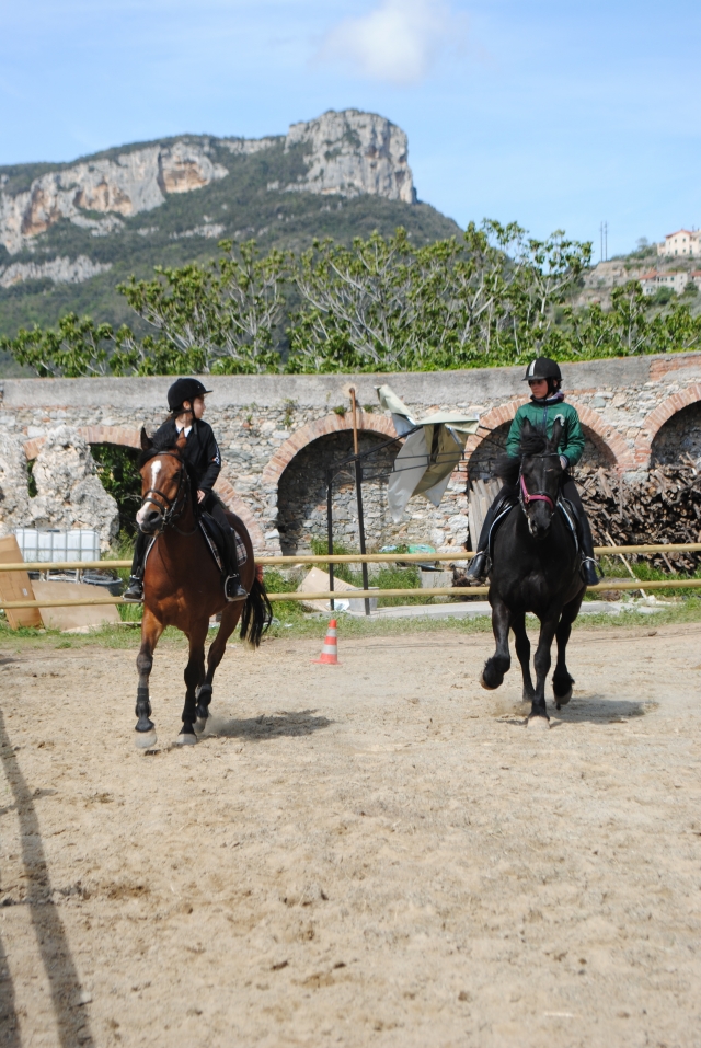  Clases de equitación en el campo 