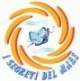 I segreti del mare a.s.d.