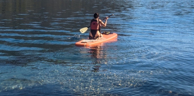 Sup 