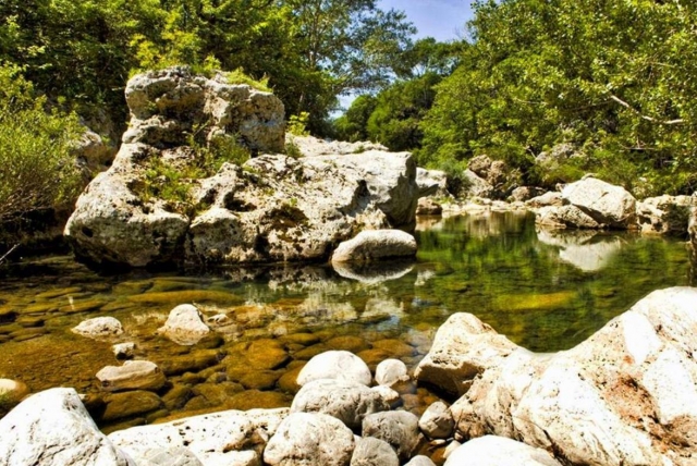  bosque de fresas de nemi 