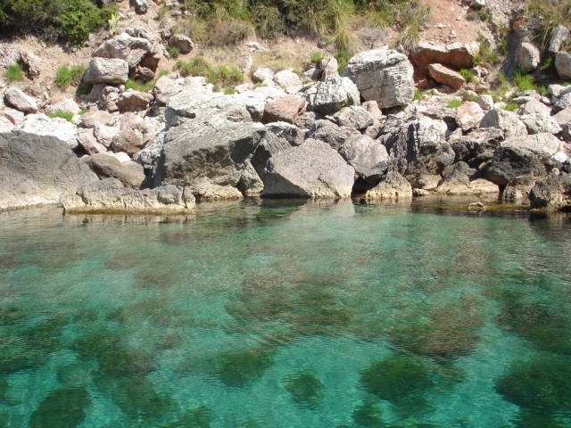 Mar transparenle 