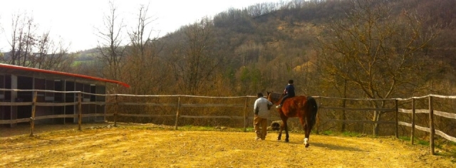  Nuestra escuela de equitación 