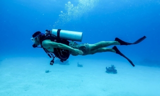 Immersion Diving School