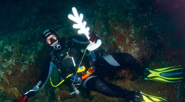 Cursos de varios niveles 