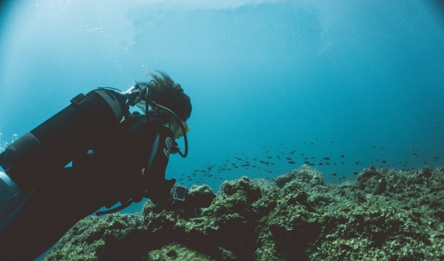  buceando en el fondo marino 