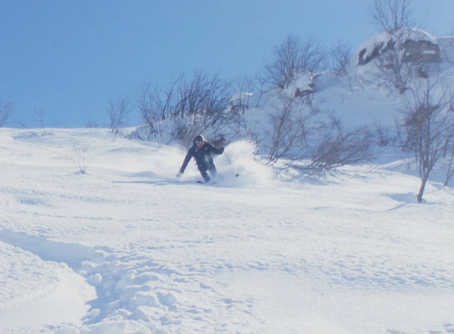  Slalom 