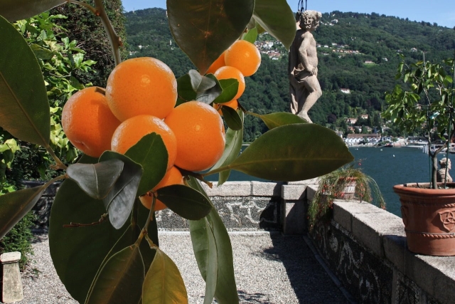 Giardini Isola-Bella
