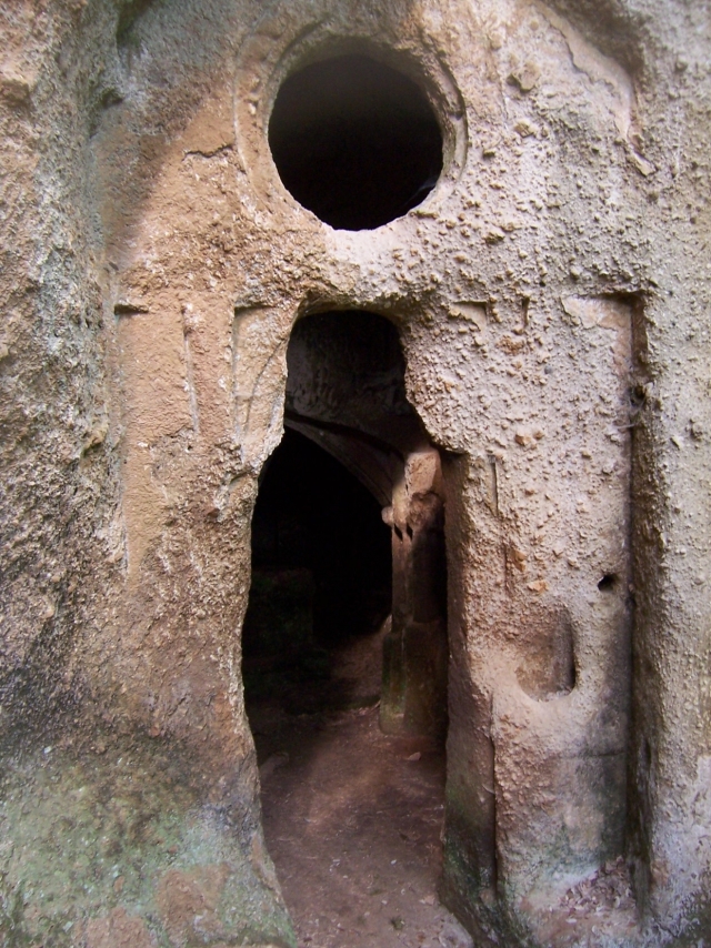  Logotipo de la asociación