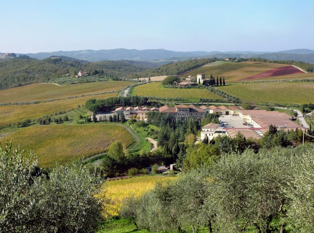 Sienese hills 