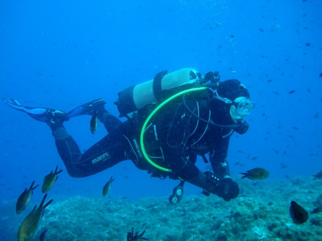  entre el fondo marino 