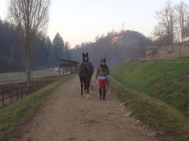  Paseo por la naturaleza 