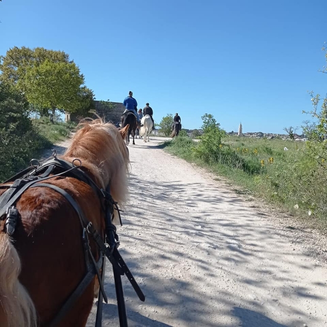  Paseo en silla de montar