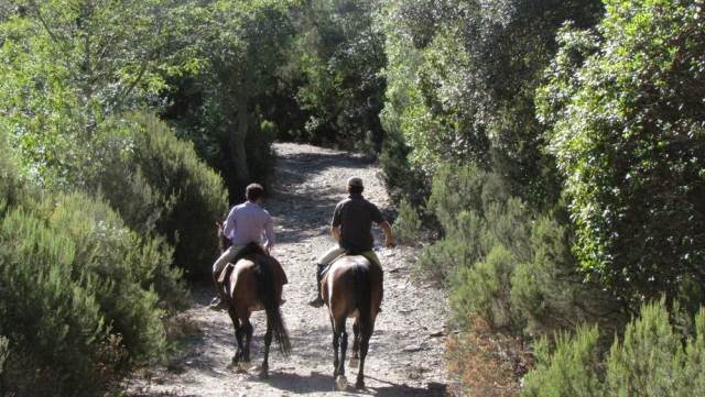excursión 