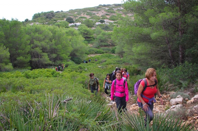  excursiones 
