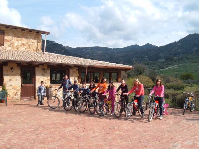  Tour en bicicleta 