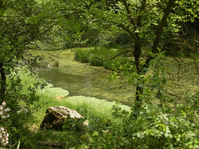  LAGO MUERTO 