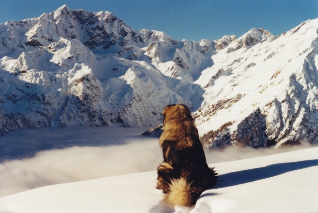  mar de nubes de Alpe Sattal2_Alpes italianos 