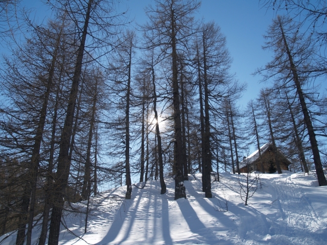  pequeña cabaña en el encanto del nevado alpe devero 