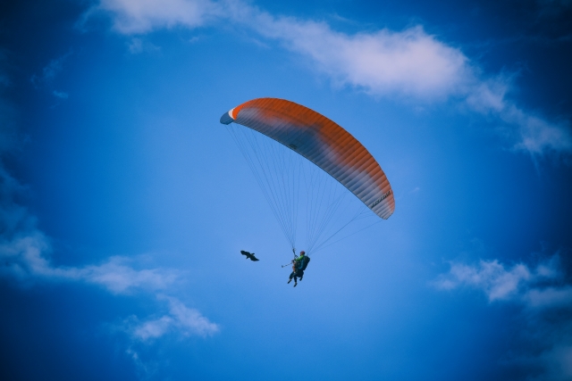  Volando en el cielo 