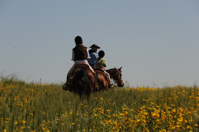 cabalgamarras 