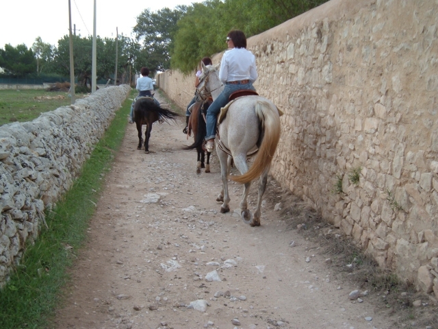  excursión al Castillo de Donnafugamarra 