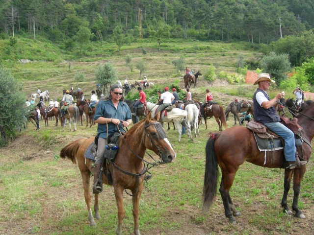 Caballos en excursión