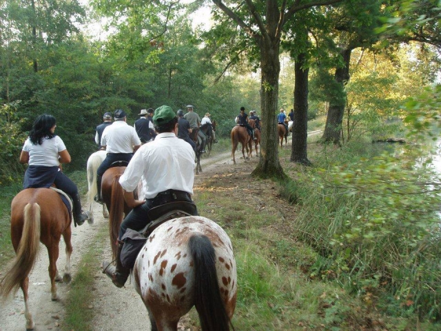 Excursión a caballo