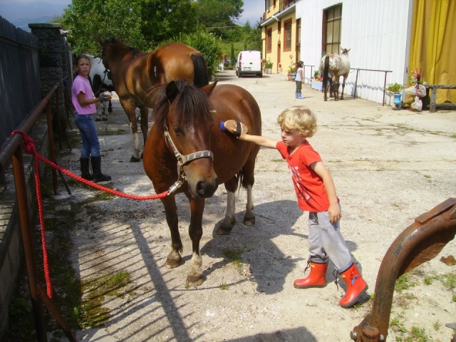 Preparando el caballo para ensillar