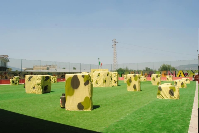  El campo 
