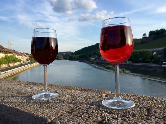  Nuestros vinos tintos 
